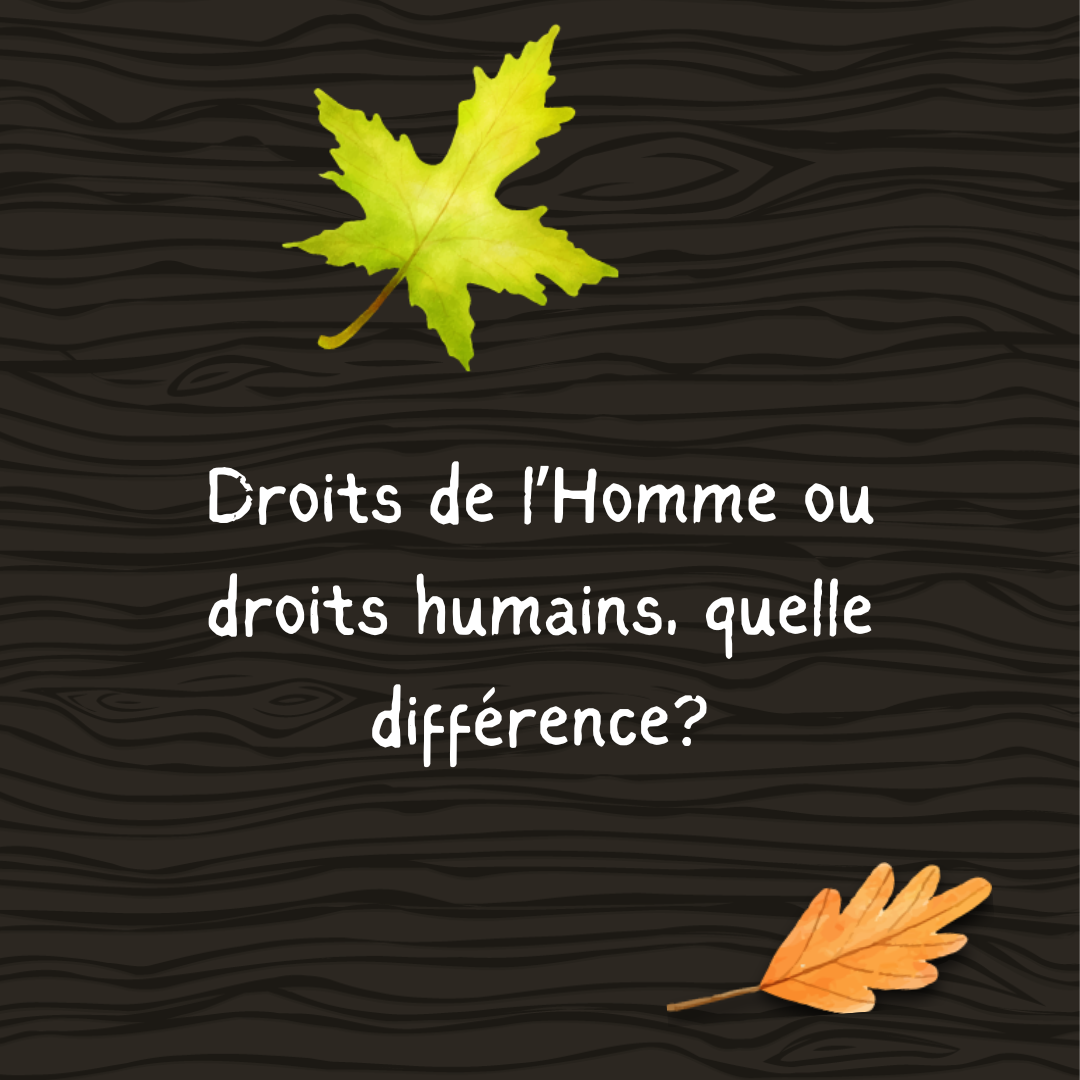 Droits de l’Homme ou droits humains, quelle différence?